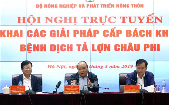 Tập trung tuyên truyền về Dịch tả lợn Châu Phi
