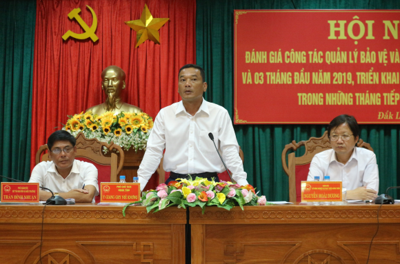 Hội nghị triển khai nhiệm vụ công tác quản lý bảo vệ và phát triển rừng năm 2019