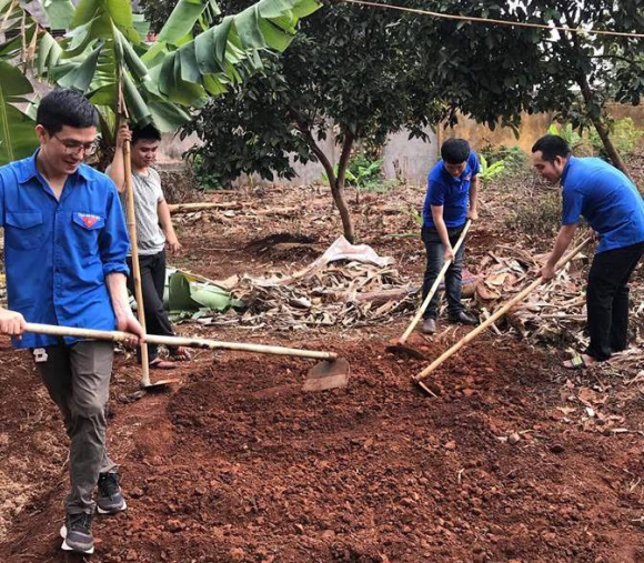 Chi đoàn thanh niên Văn phòng HĐND và UBND tỉnh thực hiện các hoạt động xã hội
