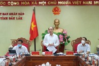Họp thành viên UBND tỉnh