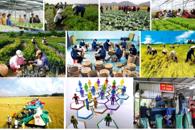 Tăng cường hợp tác quốc tế về phát triển kinh tế tập thể, hợp tác xã