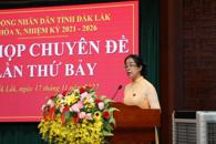 Kỳ họp chuyên đề lần thứ bảy, HĐND tỉnh khóa X