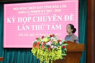 Khai mạc Kỳ họp chuyên đề lần thứ Tám, HĐND tỉnh khóa X, nhiệm kỳ 2021 - 2026