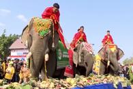 Hội Voi Buôn Đôn: Điểm Nhấn Đặc Sắc Tại Lễ Hội Cà Phê Buôn Ma Thuột Lần Thứ 9