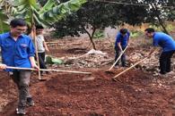 Chi đoàn thanh niên Văn phòng HĐND và UBND tỉnh thực hiện các hoạt động xã hội