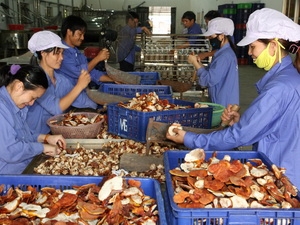 cay bien doi gen.jpg